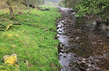 Coverdale cottage - Photo 70