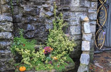 Namastay-Central Glastonbury - Foto 30