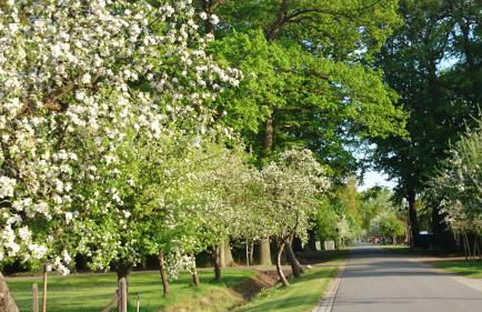 Am Storchennest - Foto 23