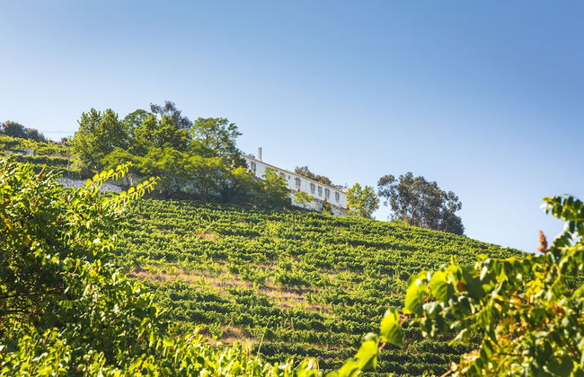 Quinta do Valdalágea - Foto 65