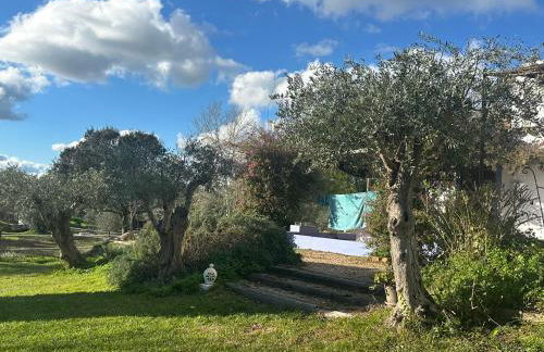 Courela do Monte Novo - Photo 27