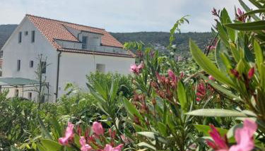 Apartmani Kamil - Photo 5, Garden