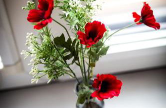 Chinatown Birmingham Apartments - Foto 18