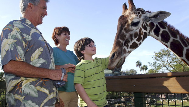 Busch Gardens Serengeti Safari Tour - Foto 5