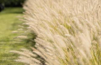 Appartament, Resort Corte Renèè, lago di Garda - Foto 65