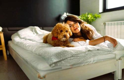 Prairie Comfort - Foto 26