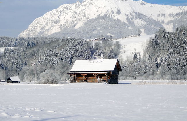 Steiners Blockhütte - Foto 27