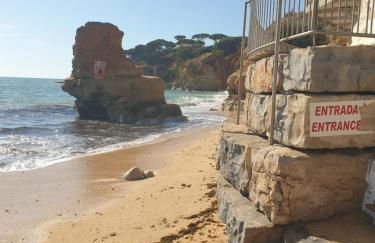 Vista das Ondas - Foto 36