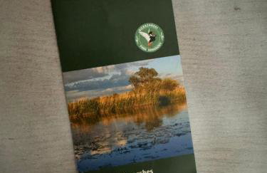 KURNIK - Domek pod lasem - Foto 43