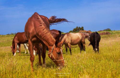 Zielony Zakątek - Foto 25
