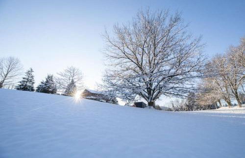Pétillant Chalet aux 3 étangs avec SPA, Sauna et Véranda - Foto 48