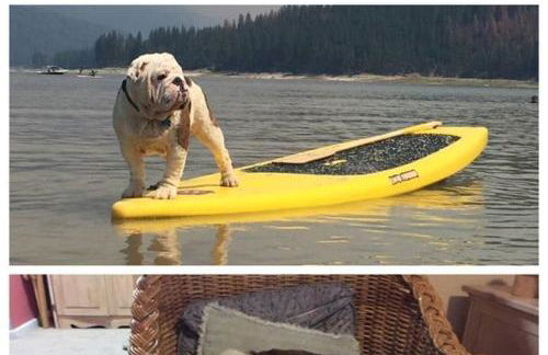 Near Yosemite Bass Lake Cabin with Hot Tub, Lake View, Pet Friendly - Photo 56