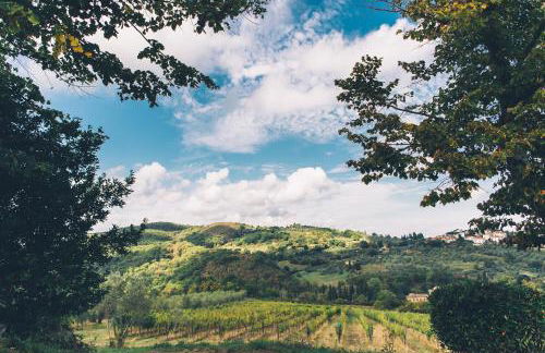 Castello di Cafaggio - Foto 46