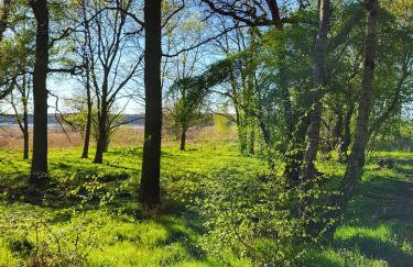 Deine Ruhe Oase mit Waldblick - Photo 14