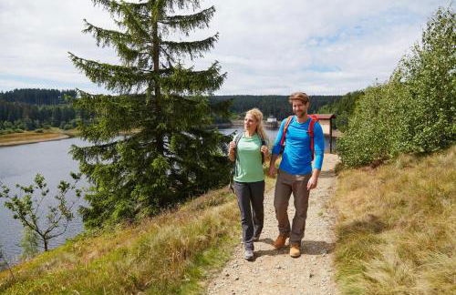 HIRSCH Hänsel Ferienhaus Garten mit Bergblick - Grill -Wald - Foto 37