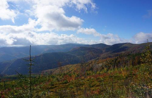 Uroczy Domek z Kominkiem - Foto 36