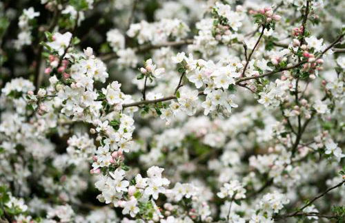 Ferienhof Homann Sauerland - Foto 10