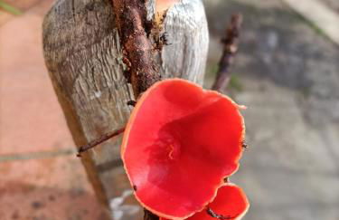 Welcome in Toscana - Foto 57