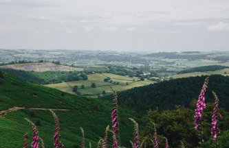 Two unique cabins wrapped in beautiful welsh scenery - Foto 6