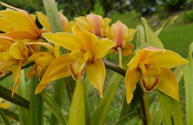 Senderismo por las Cascadas Escondidas - Foto 5