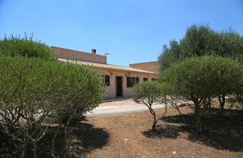 Finca Tiana - Photo 43