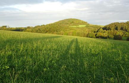 Ferienwohnung Erzgebirgswohnung Götze - Foto 64