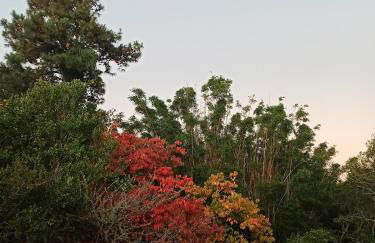 Chácara das Flores - Foto 4