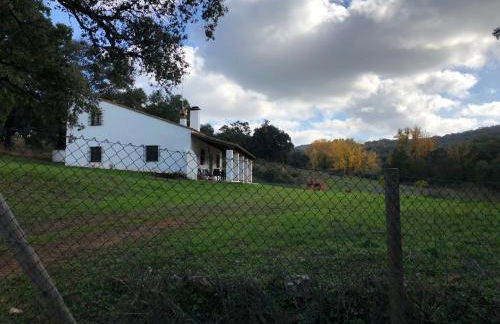 Cercado Forero - Foto 30