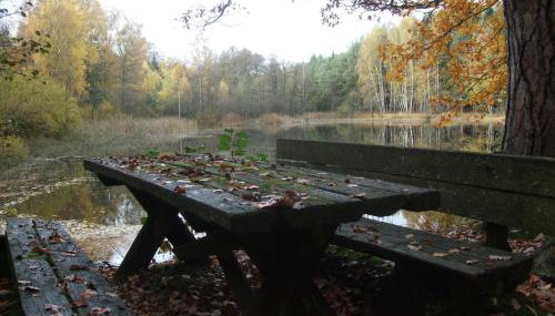 Ferienwohnung Bockelt - Foto 4