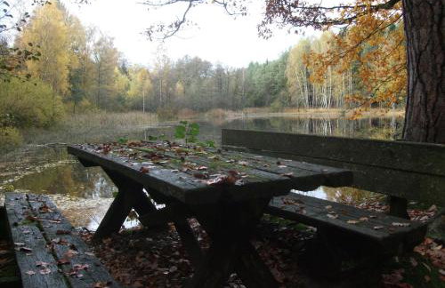 Ferienwohnung Bockelt - Foto 4