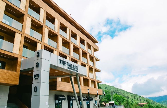 The Valley Bakuriani MountInn - Foto 1