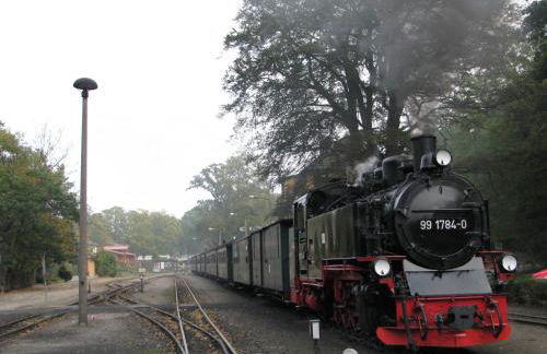 Ferienwohnung 2 bei Familie Saupe - Foto 22