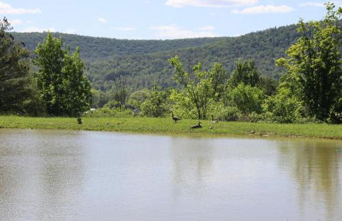 Scenic Mountain Lodge - Foto 52