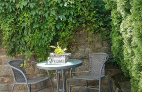 Tauberperle - Photo 8