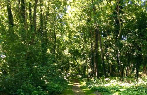 Haus Wittensee - Photo 23