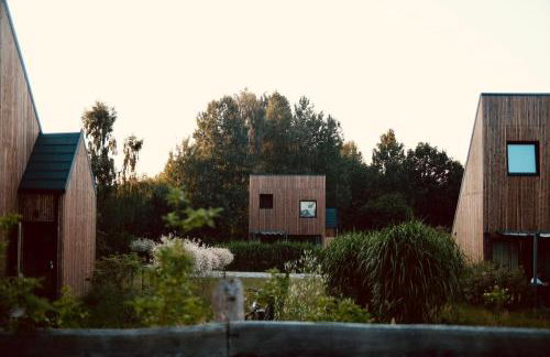 Zen Sasino - Foto 27