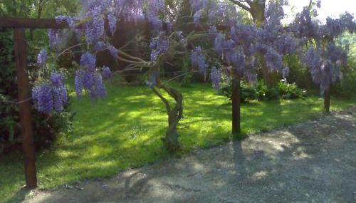 Villa con piscina - Foto 4, Garden, Garden view