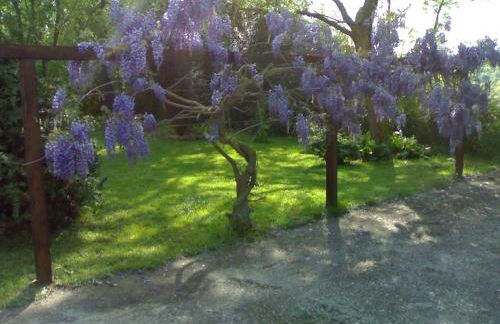 Villa con piscina - Foto 4