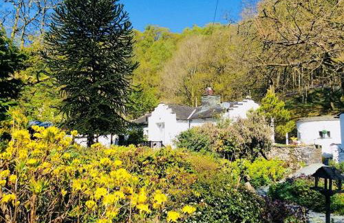 Dove Cot country cottage Ambleside - Foto 21