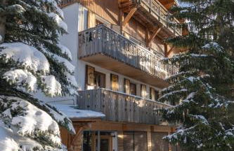 Chalet Alpe d'Huez 1850-Sea and Mountain Pleasure Avec 2 appartements- 1 Appartement 3 Chambres 8 Couchages - 3 Salles d'eau et 1 Appartement 5 Chambres 12 Couchages 5 Salles d'eau - Jacuzzi et Sauna -Pieds des Pistes et Centre - Foto 22