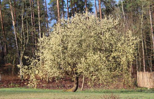 Ferien in Troja - Foto 25