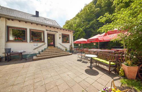 Ferienwohnung "Alte Pleiner Mühle" - Foto 11