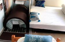 Coeur de granit rose, meublé alliant le charme de l'authentique breton et du confort, classé 3 étoiles, à 5mn de 13 plages de la réputée cote de granit rose - Foto 37