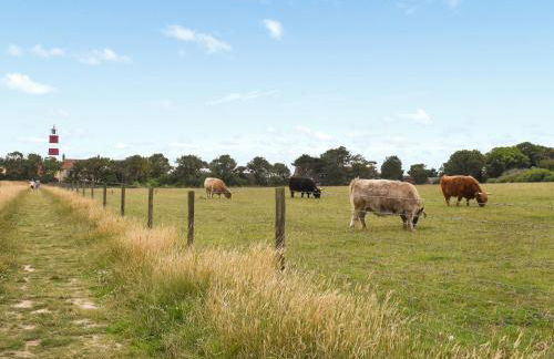 High House - Photo 46