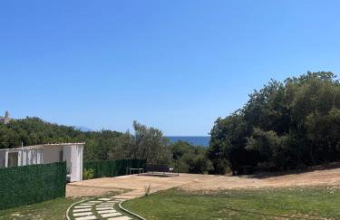 Platan Paradise - Foto 30