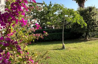 Martina 2 - Photo 26