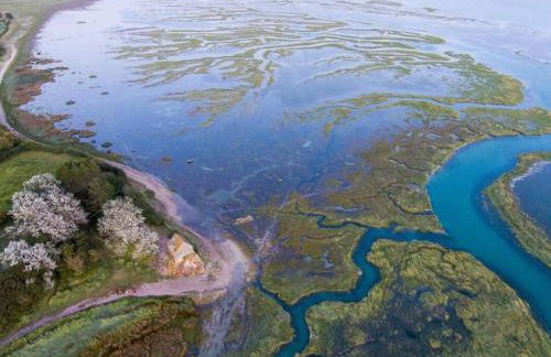 La Villa Case-Bi - Foto 28