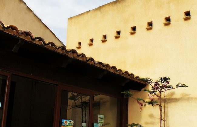 Agriturismo Sanacore - Foto 49