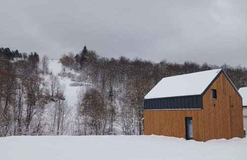 Ule dziadka Kazka - Foto 33