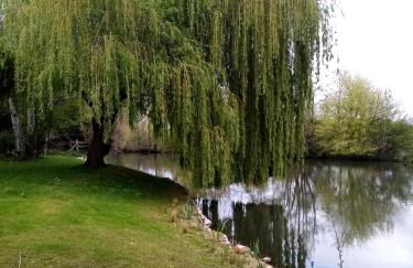 PETIT APPARTEMENT 30M2, 3 lits, de 1 à 4 pers - Foto 48